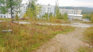 Маревая 2021.