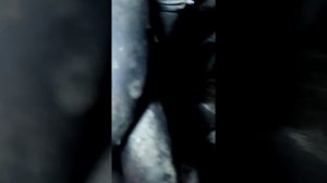 Как найти датчик скорости в Шевроле Лачетти