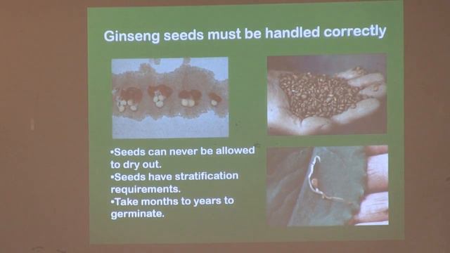 Ginseng Marketplace Forum in Madison County Part 1 смотреть онлайн