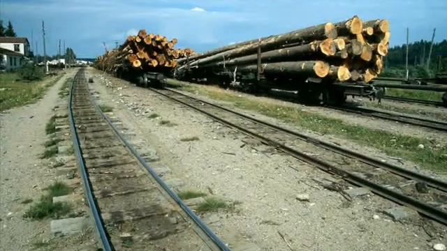 Сельское поселение Девятинское смотреть онлайн
