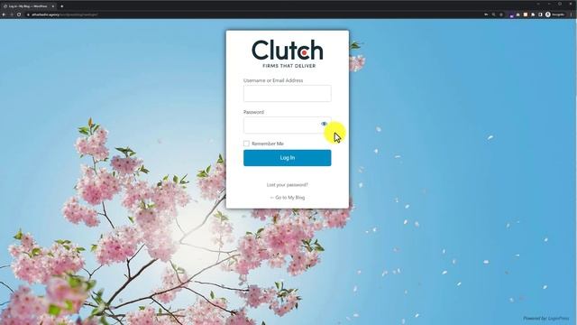 How To Customize Wordpress Admin Login Page смотреть онлайн