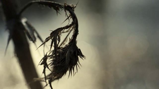 Customized Genotype (by) Breach the Void [ETNA] смотреть онлайн