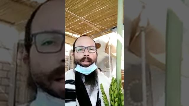 (Не) Всё в твоих руках. Рав.Йона Бродкин. смотреть онлайн
