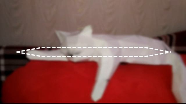 DIY КОТ из бумаги ПАПЕРКРАФТ | Katrin//Kate смотреть онлайн