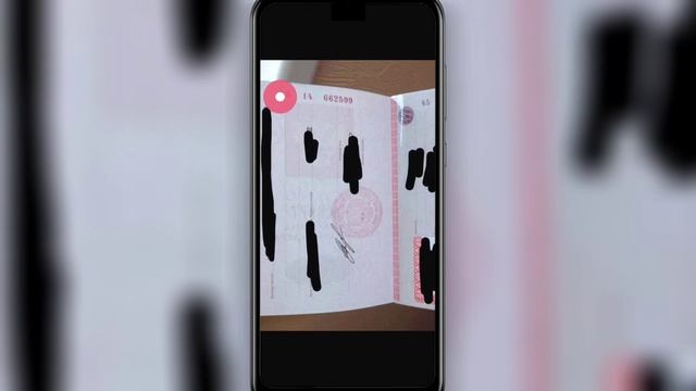 Документы РФ: паспорта и права