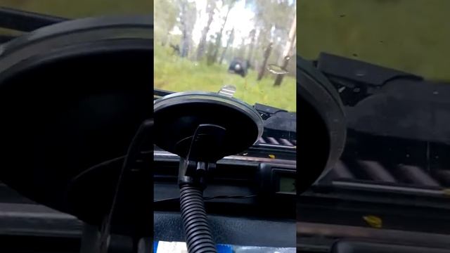 Поездка на рыбалку оз изюк муромцево смотреть онлайн