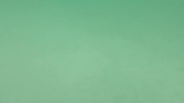 vlog: Запускаем дрон, пляжи White Beach и Diniwid, самый вкусный стейк в моей жизни, закат и змея! смотреть онлайн
