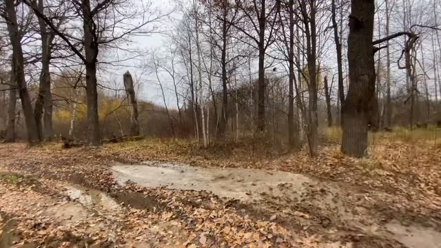 Stels Guepard на прогулке смотреть онлайн