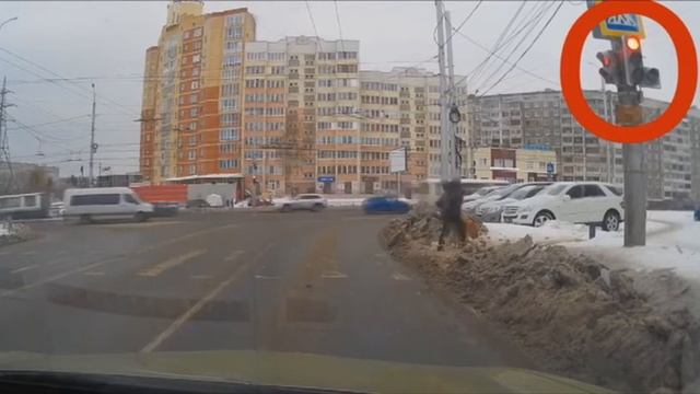 Собака оказалась сознательнее пешехода в Тюмени смотреть онлайн