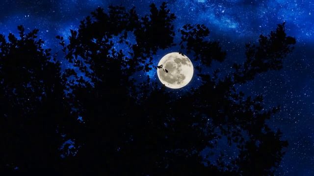 10 Самых Загадочных Фактов о Луне смотреть онлайн