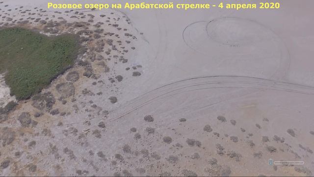 Весна на розовом озере на Арабатской стрелке смотреть онлайн