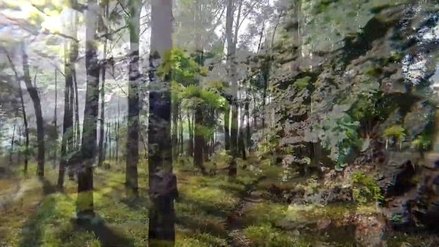 Yспокаивающая музыка для нервов ? Музыка лечебная музыка для сердца, релакс для души Александра #51 смотреть онлайн