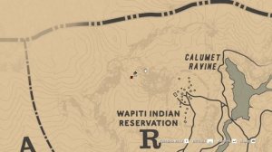 ?Где найти Арабскую  Чубаро тигровую Лошадь? |Red Dead Redemption 2|