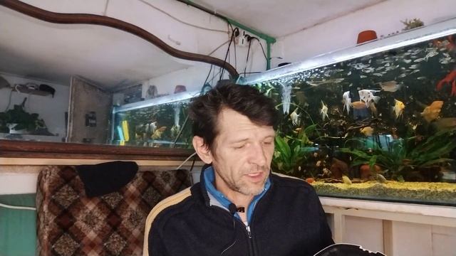 Вторая жизнь фильтру Sunsun HW-503 модификация?#aquarium #fishaquarium #fishtank #фильтр