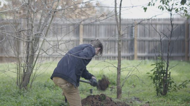 Vivian | Official Trailer (Short Film)