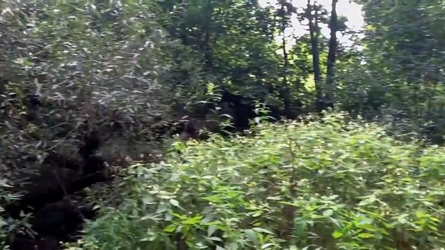 Я в Брянске смотреть онлайн