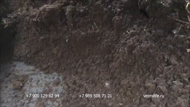 Выборка биогумуса из бурта 14 12 17 смотреть онлайн