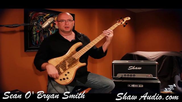 Shaw Audio 150 Watt All Tube Bass Amp смотреть онлайн