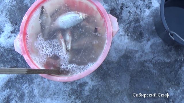 Как солить рыбу. Простой способ засолки рыбы. смотреть онлайн