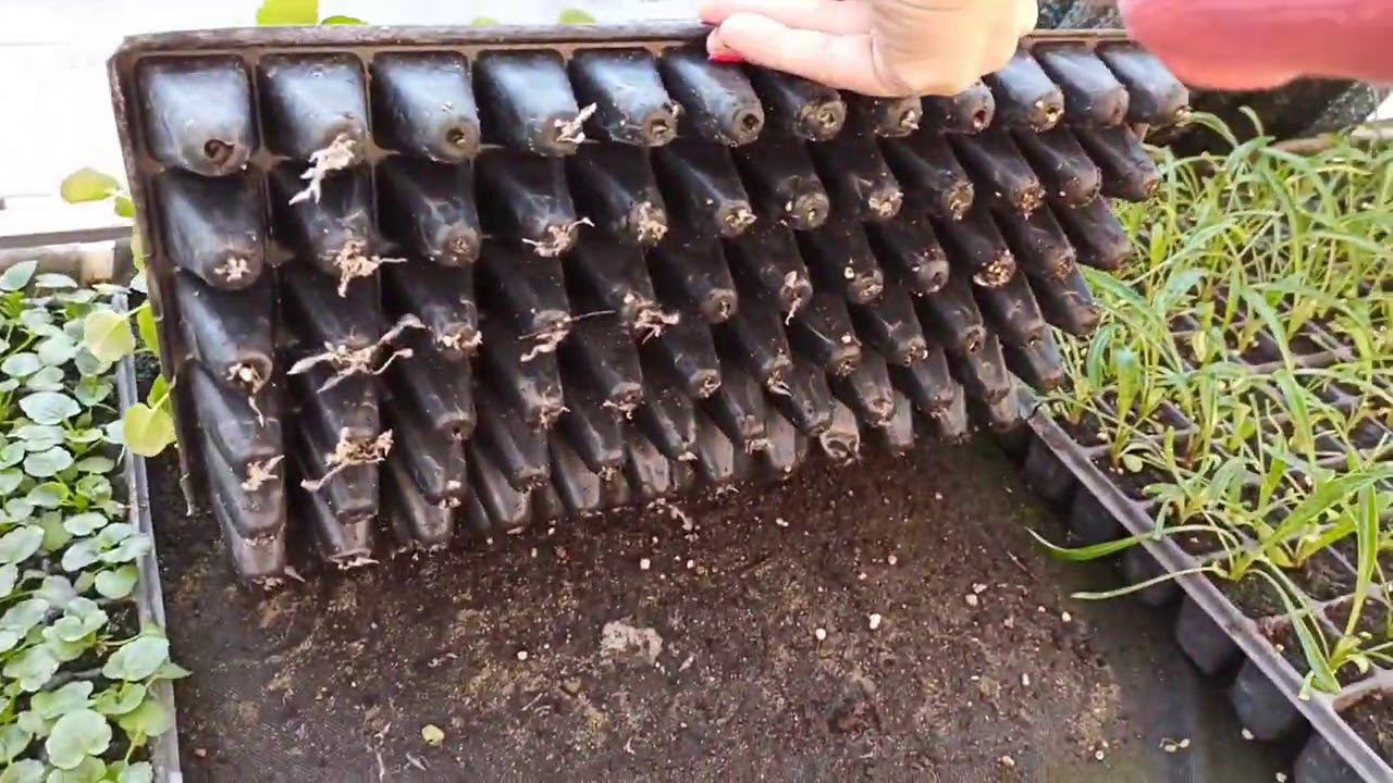 2 января. Отдохнули и снова за работу! смотреть онлайн