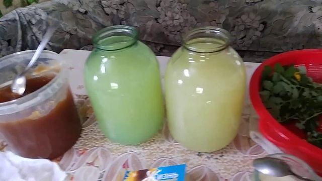 Квас на чистотеле по Болотову. смотреть онлайн