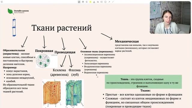 Вся Ботаника за 1 час | ЕГЭ Биология смотреть онлайн