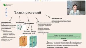 Вся Ботаника за 1 час | ЕГЭ Биология