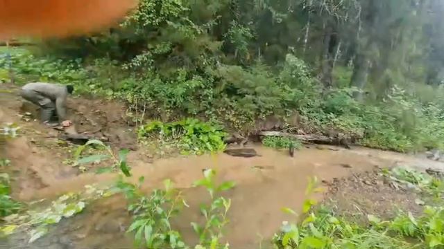 лесные покатушки