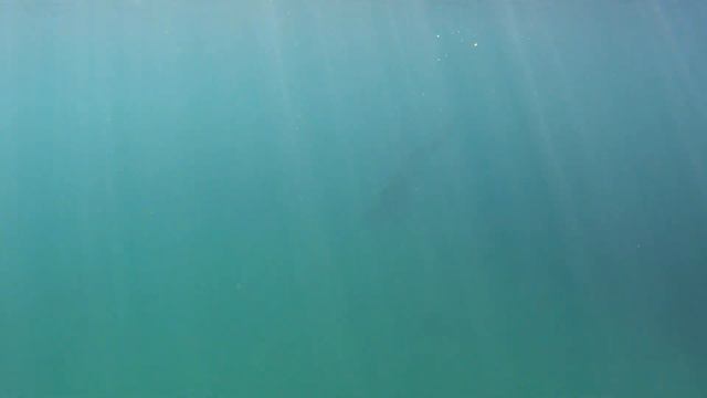 Нырялка в Аркадии. Одесса. смотреть онлайн