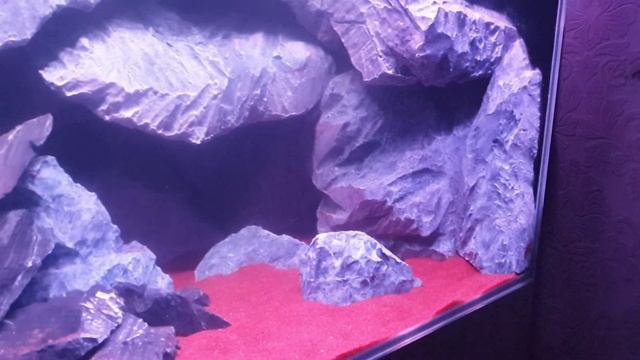 Аквариум с 3D фоном. смотреть онлайн