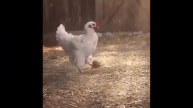 Interesting Discoveries Monthly