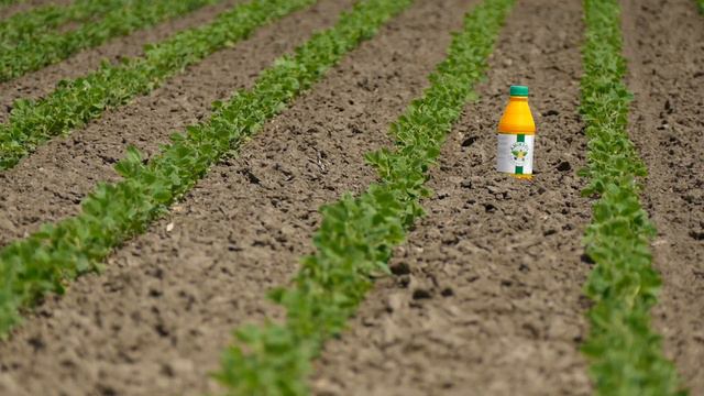 Uz ova 2 preparata vaša soja će biti jaka, zdrava i otporna смотреть онлайн