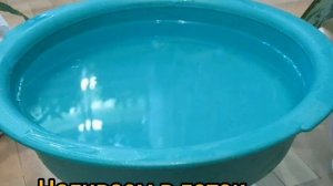 Постановка горчичников