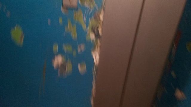 Общежитие! Лифты МЛЗ по адресу: ул. Текстильщиков 42, 1 и 2 блоки смотреть онлайн