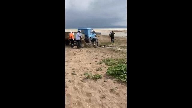 Капчагай Акция Чистый Водоем смотреть онлайн
