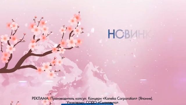 Коэнзим Q 10 от Смаковита смотреть онлайн