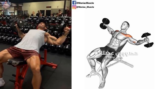 BEST 6 EXERCISES Killer Upper Chest Workout ? смотреть онлайн
