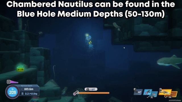 How to Catch a Chambered Nautilus in Dave the Diver смотреть онлайн