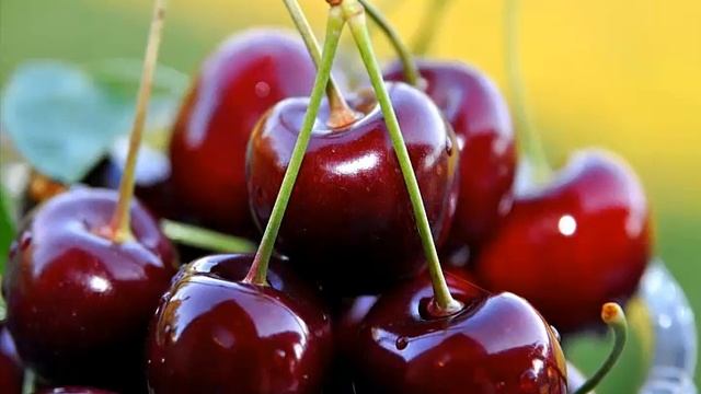 Стройка с Вами