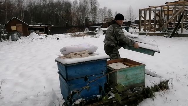 Борьба с молью перед зимовкой смотреть онлайн