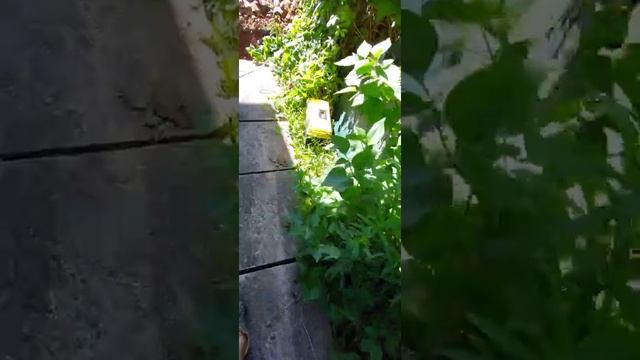Монтаж септика в Чехове смотреть онлайн