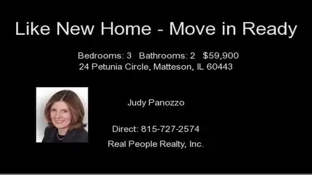 24 Petunia Circle, Matteson, IL 60443 смотреть онлайн