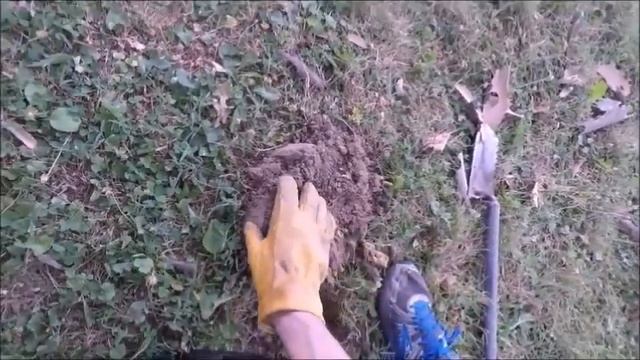 Reviewing The Quest Q60 Metal Detector For MD4V.org