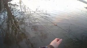 рыбалка на сети весной