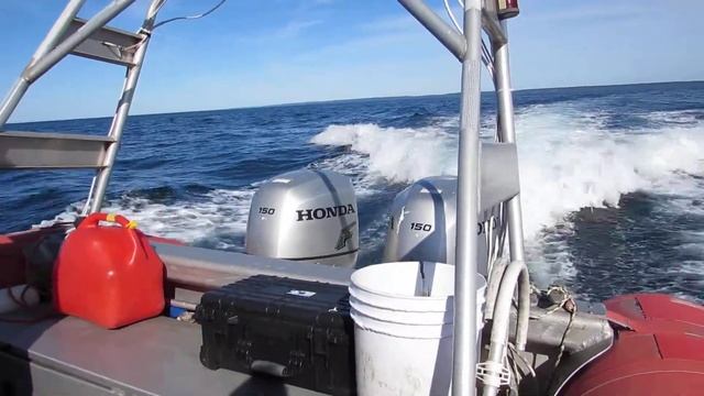 Twin Honda 150HP BF150 boat engines powering up смотреть онлайн