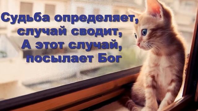 моим друзьям желаю счастья смотреть онлайн