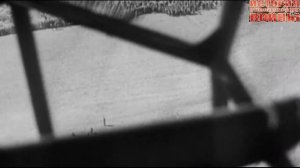 Красная звезда Советский союз 1941-1943