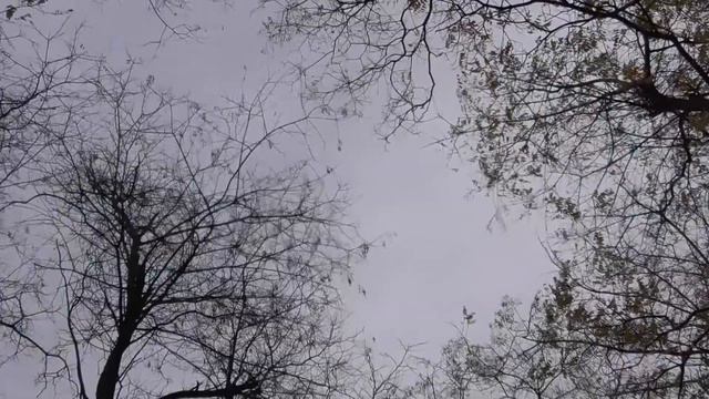 «Лезгияр» в исполнении Исмаила Ризаханова смотреть онлайн