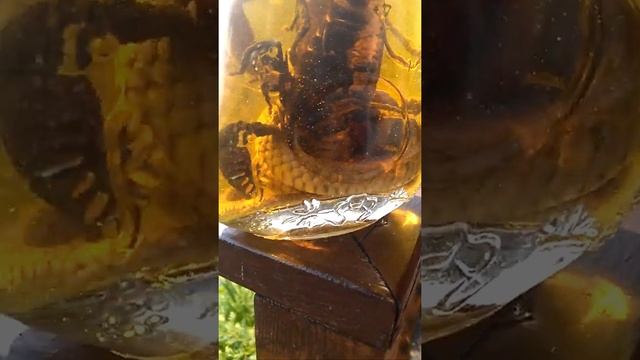Бутылка с коброй и скорпионом из Вьетнама смотреть онлайн