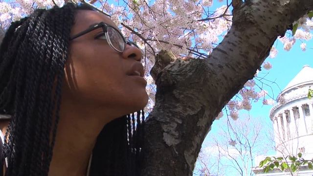 Sonnet 54 - Sakura Park, Manhattan смотреть онлайн